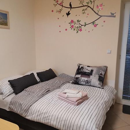 Apartma Gaber 80 茨热塞 外观 照片